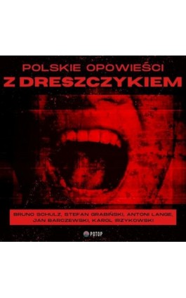 Polskie opowieści z dreszczykiem - Bruno Schulz - Audiobook - 9788396399274