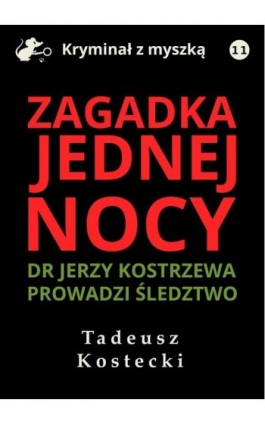 Zagadka jednej nocy - Tadeusz Kostecki - Ebook - 978-83-67296-53-3