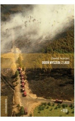 Ogień wyszedł z lasu - Dawid Iwaniec - Ebook - 9788365970046