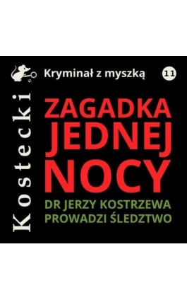 Zagadka jednej nocy - Tadeusz Kostecki - Audiobook - 978-83-67296-06-9