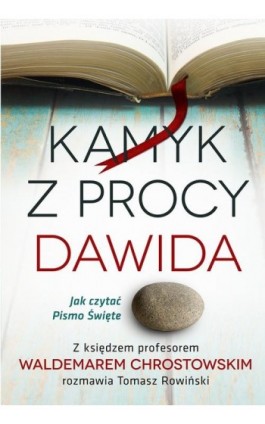 Kamyk z procy Dawida - Waldemar Chrostowski - Ebook - 978-83-8043-808-8