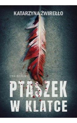 Ptaszek w klatce - Katarzyna Żwirełło - Ebook - 978-83-669-7745-7