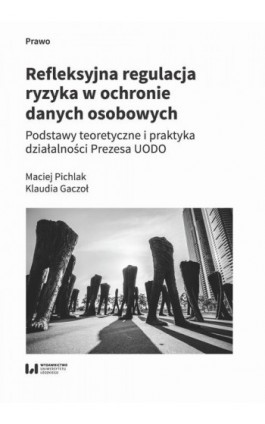 Refleksyjna regulacja ryzyka w ochronie danych osobowych. Podstawy teoretyczne i praktyka działalności Prezesa UODO - Maciej Pichlak - Ebook - 978-83-8220-968-6