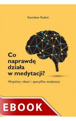 Co naprawdę działa w medytacji? - Stanisław Radoń - Ebook - 978-83-277-2493-9