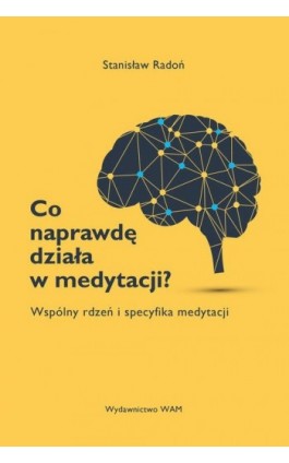 Co naprawdę działa w medytacji? - Stanisław Radoń - Ebook - 978-83-277-2493-9