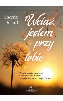 Wciąż jestem przy tobie - Sherrie Dillard - Ebook - 978-83-8301-142-4