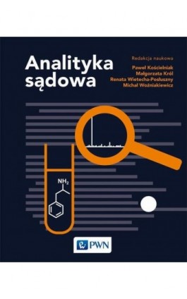 Analityka sądowa - Ebook - 978-83-01-22318-2