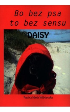 Daisy - Paulina Maria Wiśniewska - Ebook - 978-83-67222-17-4