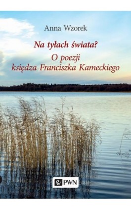 Na tyłach świata? O poezji księdza Franciszka Kameckiego - Anna Wzorek - Ebook - 978-83-01-22268-0