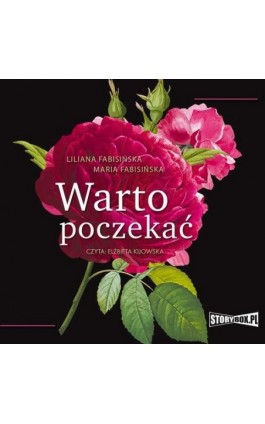 Warto poczekać - Maria Fabisińska - Audiobook - 978-83-8271-991-8