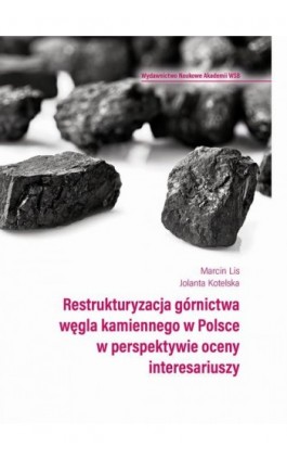 Restrukturyzacja górnictwa węgla kamiennego w Polsce w perspektywie oceny interesariuszy - Marcin Lis - Ebook - 978-83-66794-88-7