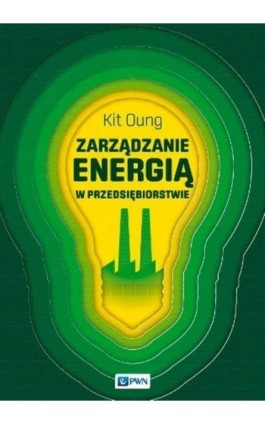 Zarządzanie energią w przedsiębiorstwie - Kit Oung - Ebook - 978-83-01-18944-0