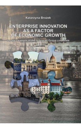 ENTERPRISE INNOVATION AS A FACTOR OF ECONOMIC GROWTH On the example of the Visegrad Group countries - Katarzyna Brożek - Ebook - 978-83-67033-05-3