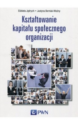 Kształtowanie kapitału społecznego organizacji - Elżbieta Jędrych - Ebook - 978-83-01-19870-1