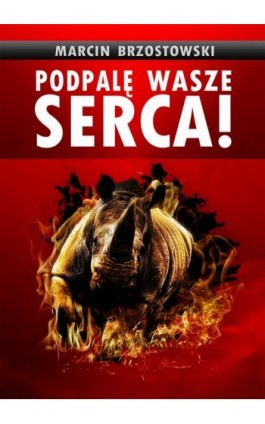 Podpalę wasze serca! - Marcin Brzostowski - Ebook - 978-83-7859-698-1