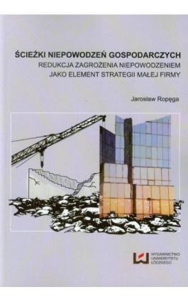 Ścieżki niepowodzeń gospodarczych - Jarosław Ropęga - Ebook - 978-83-7969-600-0