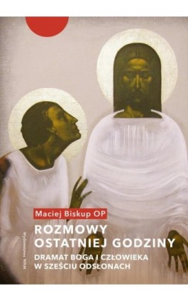 Rozmowy ostatniej godziny - Maciej Biskup - Ebook - 978-83-277-3466-2