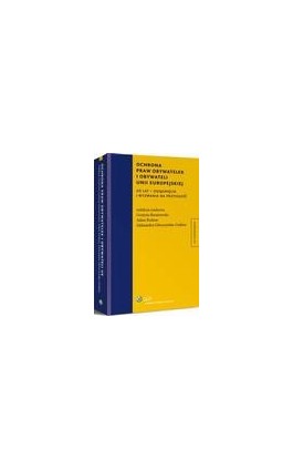 Ochrona praw obywatelek i obywateli Unii Europejskiej. 20 lat - osiągnięcia i wyzwania na przyszłość - Adam Bodnar - Ebook - 978-83-264-8545-9