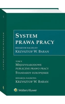 System Prawa Pracy. TOM X. Międzynarodowe publiczne prawo pracy. Standardy europejskie - Monika Tomaszewska - Ebook - 978-83-8187-430-4