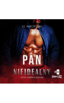 Pan Nieidealny - S.E. Karczewska - Audiobook - 978-83-8334-253-5