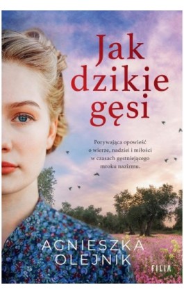Jak dzikie gęsi - Agnieszka Olejnik - Ebook - 978-83-8280-660-1