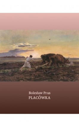 Placówka - Bolesław Prus - Ebook - 978-83-7639-447-3