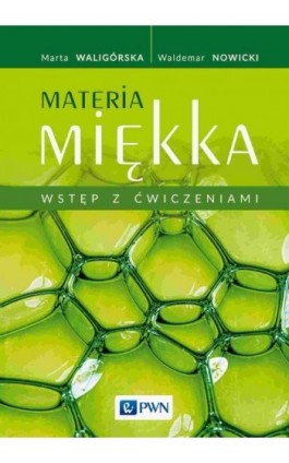 Materia miękka Wstęp z ćwiczeniami - Marta Waligórska - Ebook - 978-83-01-22957-3