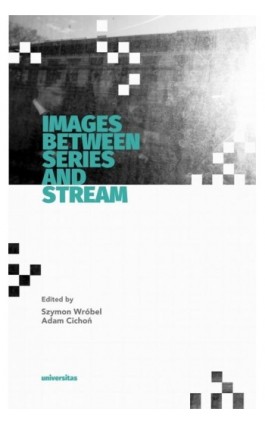 Images Between Series and Stream - Szymon Wróbel - Ebook - 978-83-242-3910-8