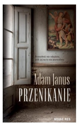 Przenikanie - Adam Janus - Ebook - 978-83-8313-457-4