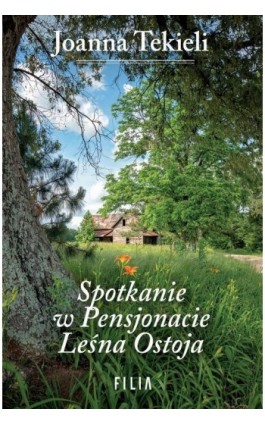 Spotkanie w Pensjonacie Leśna Ostoja - Joanna Tekieli - Ebook - 978-83-8280-665-6