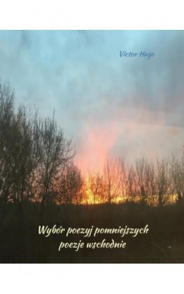 Wybór poezyj pomniejszych. Poezje wschodnie - Victor Hugo - Ebook - 978-83-7639-472-5