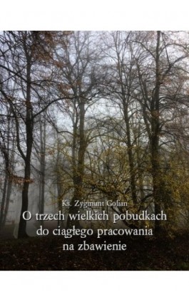 O trzech wielkich pobudkach do ciągłego pracowania na zbawienie - Zygmunt Golian - Ebook - 978-83-7639-492-3