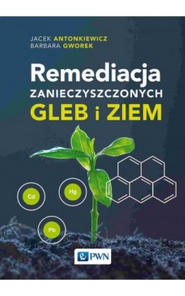 Remediacja zanieczyszczonych gleb i ziem - Jacek Antonkiewicz - Ebook - 978-83-01-22970-2