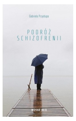 Podróż schizofrenii - Gabriela Przystupa - Ebook - 978-83-7942-647-8