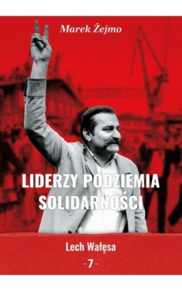 Lech Wałęsa - Marek Żejmo - Ebook - 978-83-66800-90-8