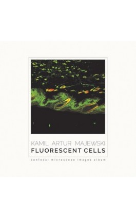 Fluorescent cells. Confocal microscope images album - Kamil Artur Majewski - Ebook - 978-83-66800-65-6