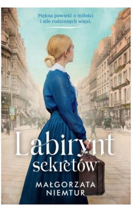 Labirynt sekretów - Małgorzata Niemtur - Ebook - 978-83-8280-984-8