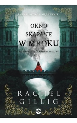 Okno skąpane w mroku - Rachel Gillig - Ebook - 978-83-8320-996-8