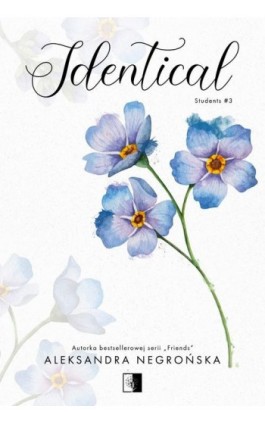 Identical - Aleksandra Negrońska - Ebook - 978-83-8320-873-2