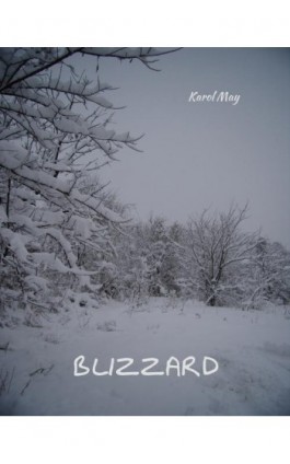 Blizzard - Karol May - Ebook - 978-83-7639-507-4