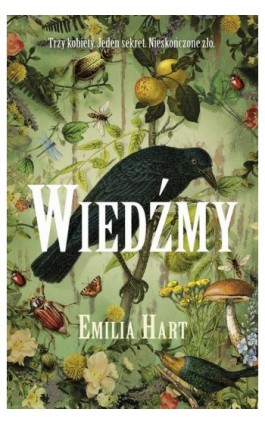 Wiedźmy - Emilia Hart - Ebook - 978-83-287-2782-3