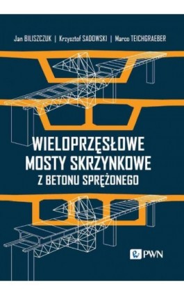Wieloprzęsłowe mosty skrzynkowe z betonu sprężonego - Jan Biliszczuk - Ebook - 978-83-01-23243-6