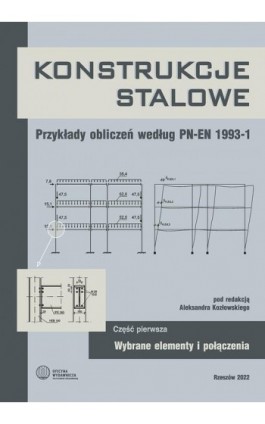 Konstrukcje stalowe. Przykłady obliczeń według PN-EN 1993-1. Część pierwsza. Wybrane elementy i połączenia - Ebook - 978-83-7934-678-3