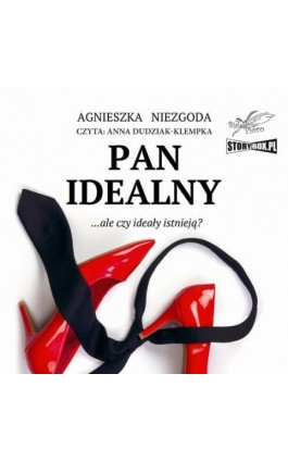 Pan Idealny - Agnieszka Niezgoda - Audiobook - 978-83-8334-529-1