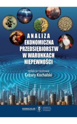 Analiza ekonomiczna przedsiębiorstw w warunkach niepewności - Ebook - 978-83-8211-195-8