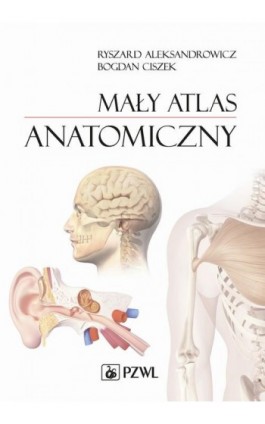 Mały atlas anatomiczny - Ryszard Aleksandrowicz - Ebook - 978-83-200-6262-5