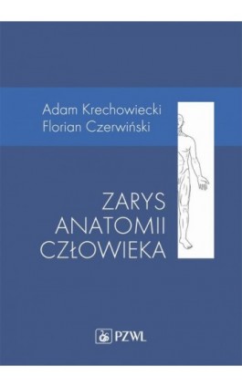 Zarys anatomii człowieka - Adam Krechowiecki - Ebook - 978-83-200-5913-7