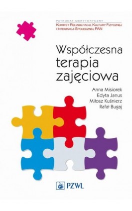 Współczesna terapia zajęciowa. Od teorii do praktyki - Anna Misiorek - Ebook - 978-83-200-5926-7