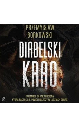 Diabelski krąg - Przemysław Borkowski - Audiobook - 9788367891745