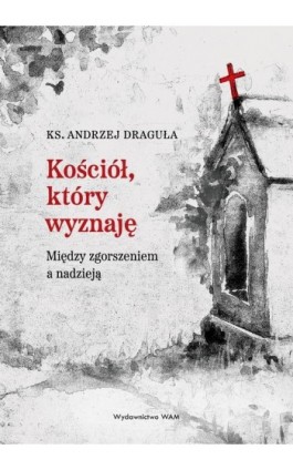 Kościół, który wyznaję. Między zgorszeniem a nadzieją - Andrzej Draguła - Ebook - 978-83-277-3665-9